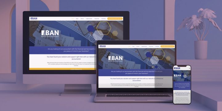 Business Accounting Network